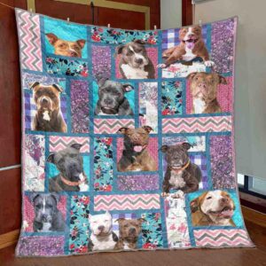 Pretty Pittes Quilt -V0508-4  Quilt